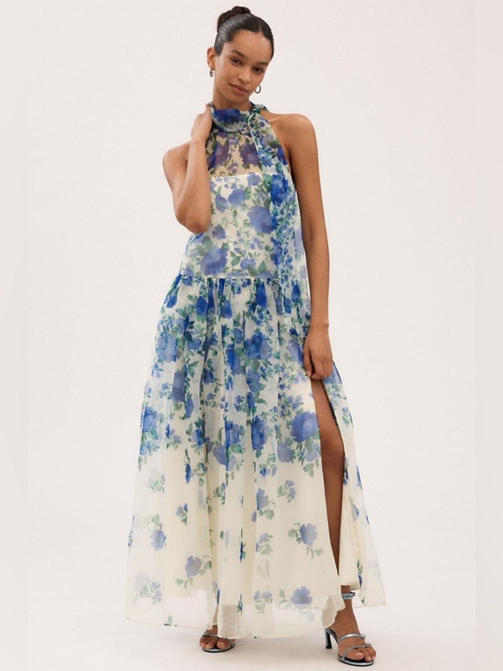 BHLDN Kendall Blue Floral Organza Maxi Dress